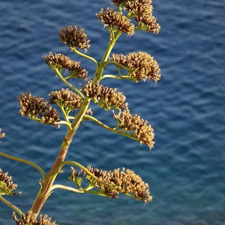 Διαμέρισμα Casa Erbaggio