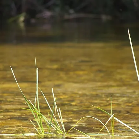 Casa Erbaggio Διαμέρισμα *