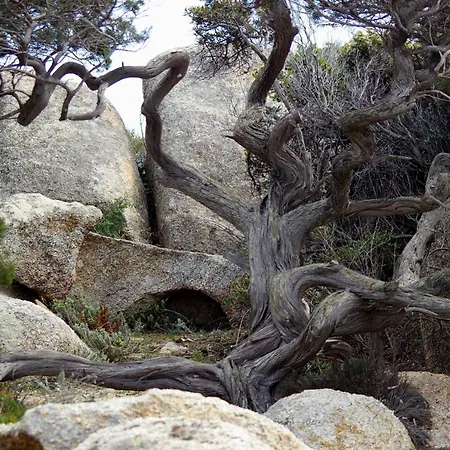 Διαμέρισμα Casa Erbaggio *