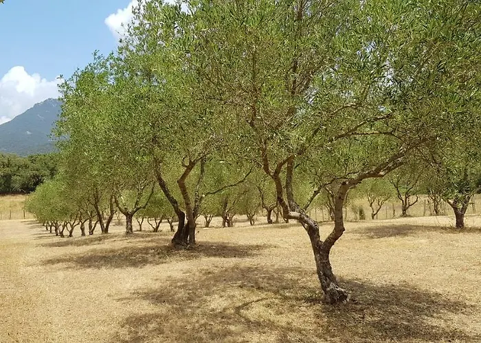 Casa Erbaggio דירה Sartène
