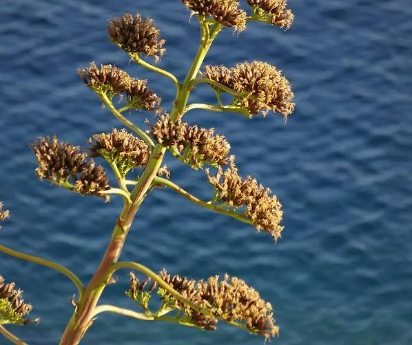 דירה Casa Erbaggio