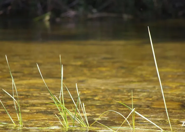 Casa Erbaggio דירה *