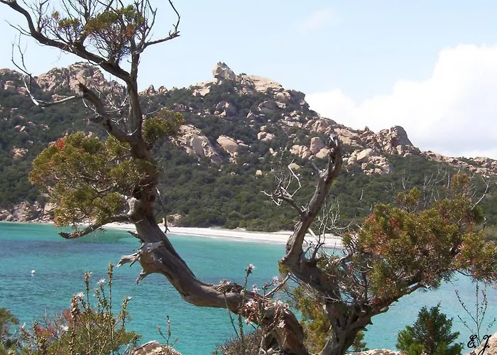 Casa Erbaggio * Sartène