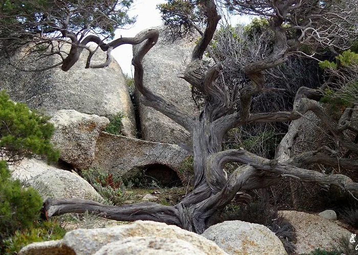 Apartmán Casa Erbaggio *